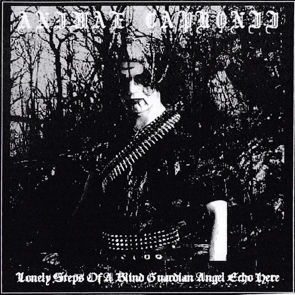 Lonely Steps of a Blind Guardian Angel Echo Here