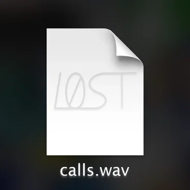 Calls by DJ LO/ST - album cover