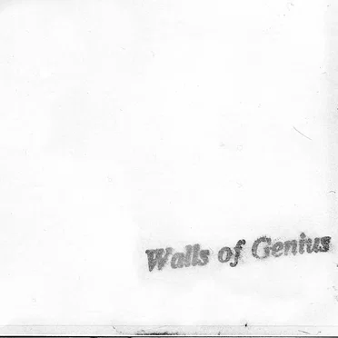 The White Cassette by Walls Of Genius - album cover