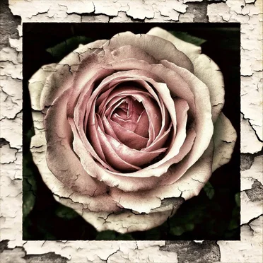 New Age Vaporwave by Embrace the Race - album cover