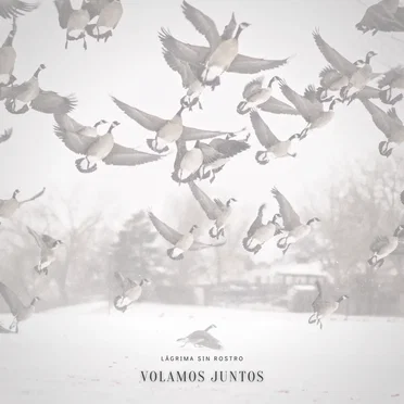 Volamos Juntos