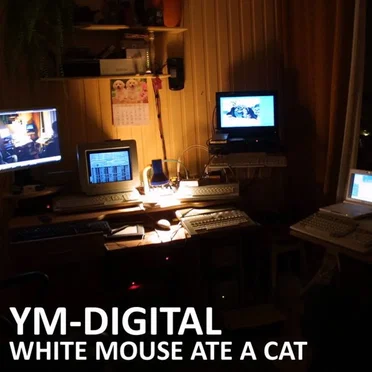 White Mouse Ate a Cat by YM Digital - album cover