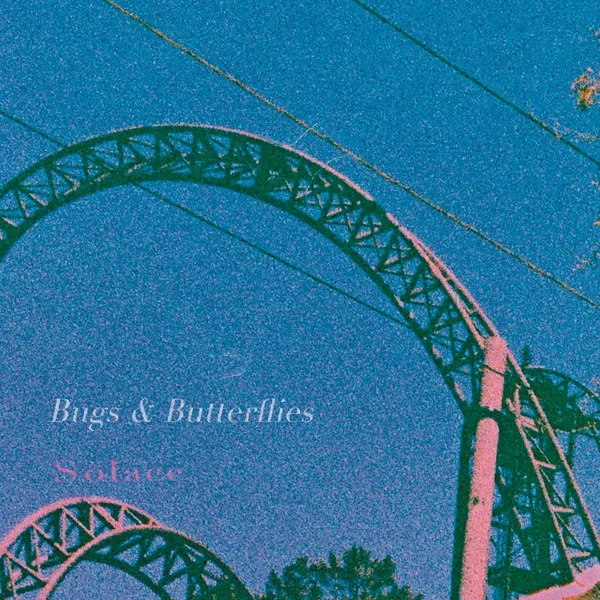 Bugs & Butterflies / Solace