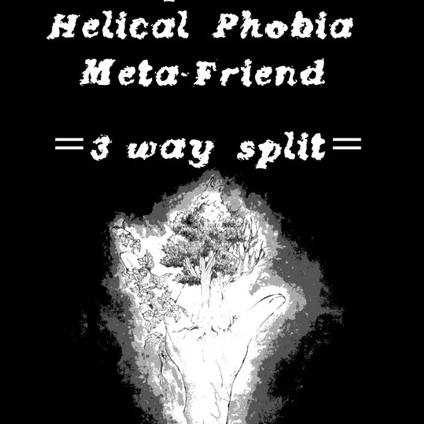 3 Way Split
