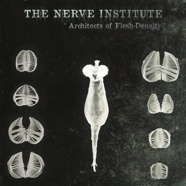 Architects of Flesh-Density