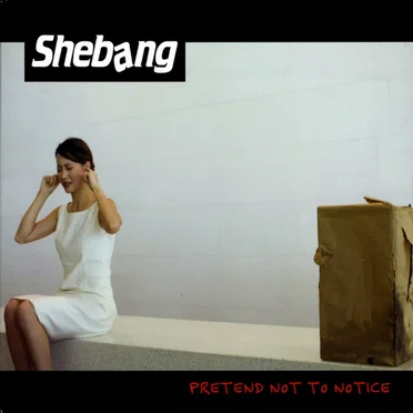Pretend Not to Notice by Shebang - album cover