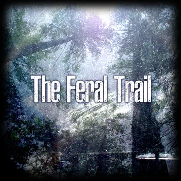 The Feral Trail by Audiocolor - album cover