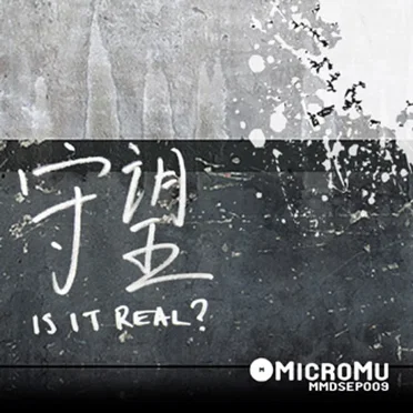 Is It Real EP by 守望 - album cover