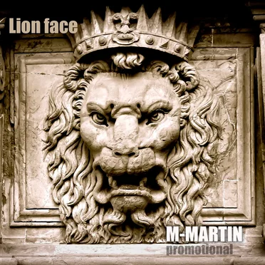 Lion Face