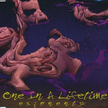 One In A Lifetime
