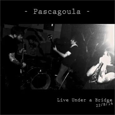 Live Under a Bridge by Pascagøula - album cover