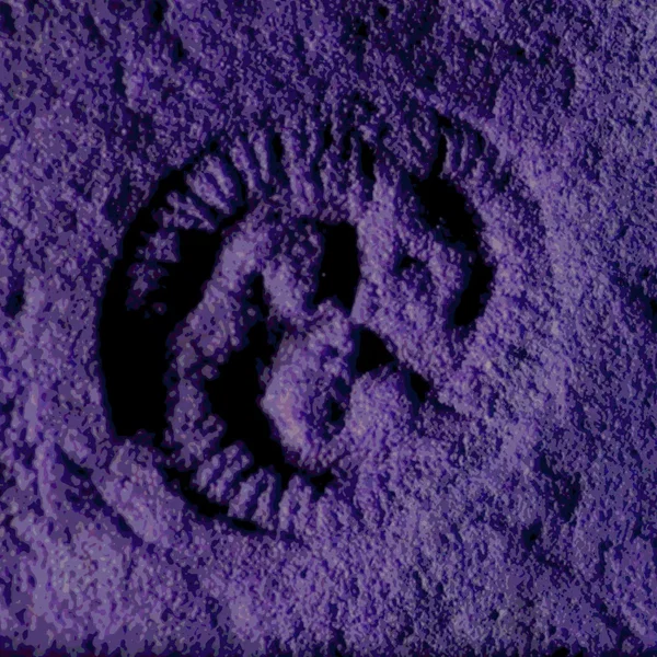 Trilobozoa