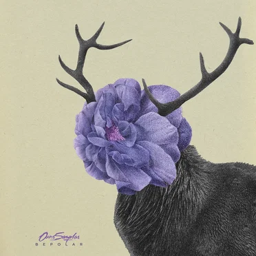 Bepolar by Ours Samplus - album cover
