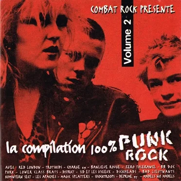 La compilation 100% punk-rock, Volume 2 by Various Artists - album cover