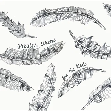 For the Birds by Greater Sirens - album cover