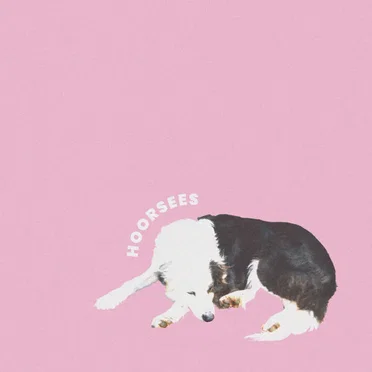 Hoorsees by Hoorsees - album cover