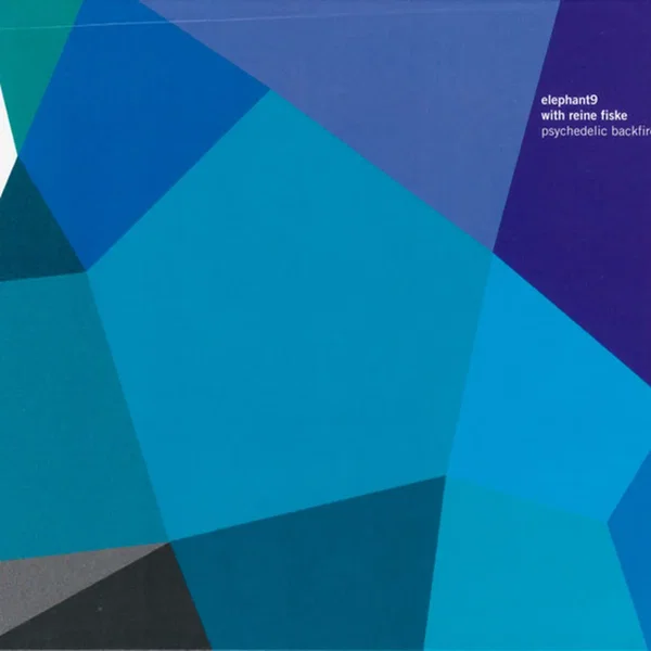 Psychedelic Backfire II