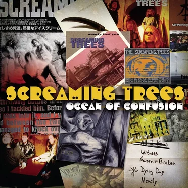 Ocean of Confusion by Screaming Trees - album cover