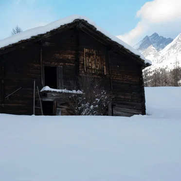 Escape This Winter