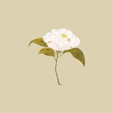 幽霊になって
