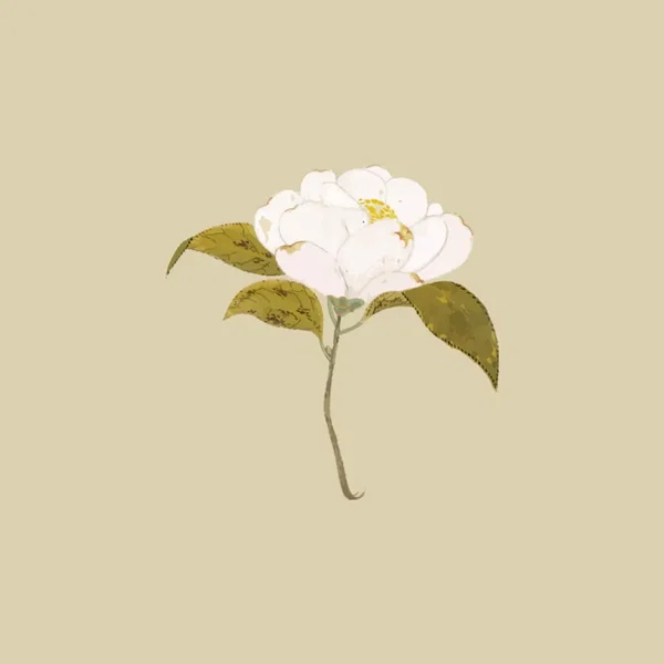 幽霊になって