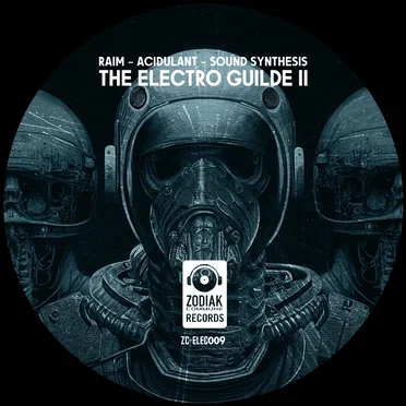 The Electro Guilde II