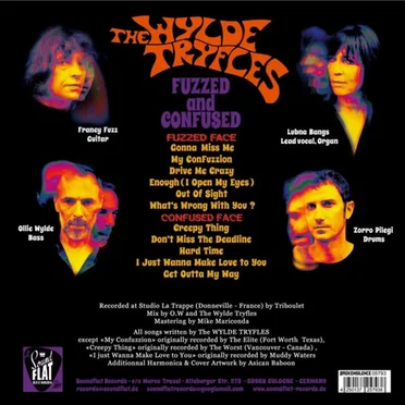 Fuzzed and Confused