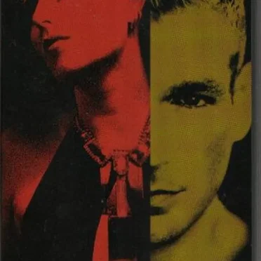 Die Videos 1995-2001