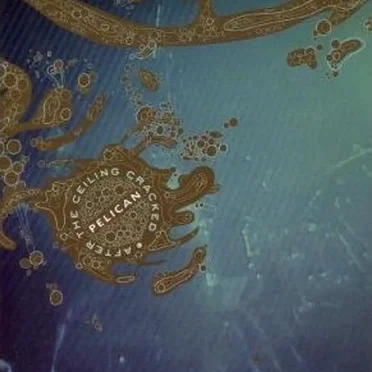 After the Ceiling Cracked