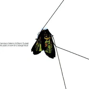 Five Years of Work for a Strange Result