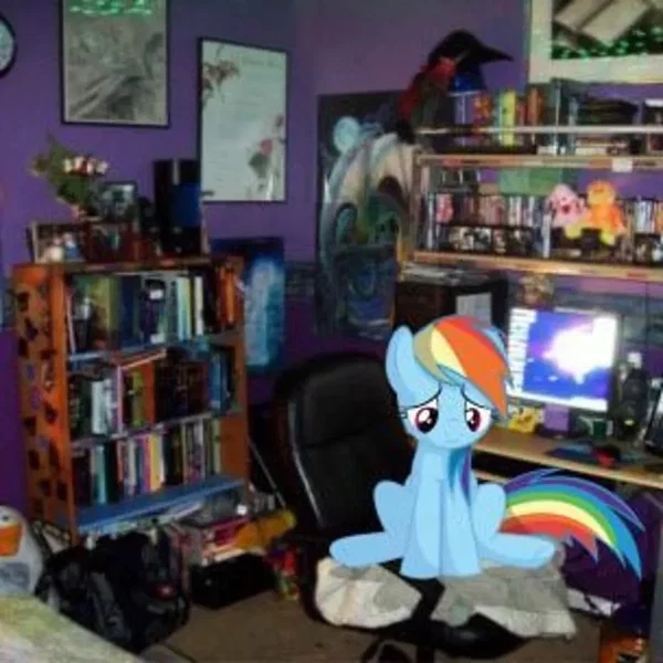 fun :// + emorave (rebzyyx)