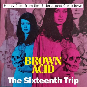 Brown Acid: The Sixteenth Trip by Various Artists - album cover