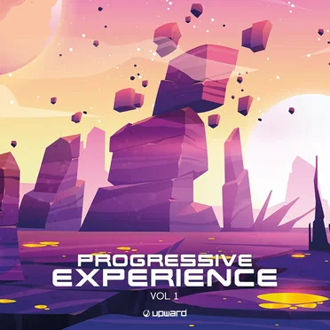 Progressive Experience, Vol. 1 by Various Artists - album cover