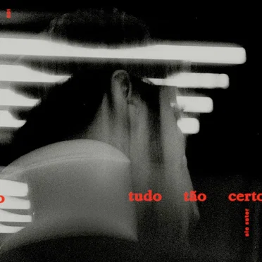Tudo Tão Certo
