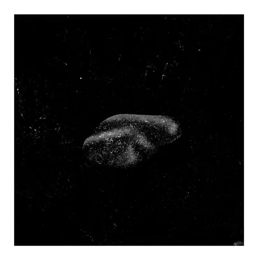 no afterlife thanks / Sandbjerggade 19