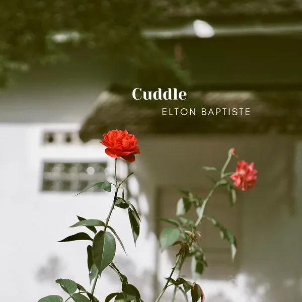 Cuddle