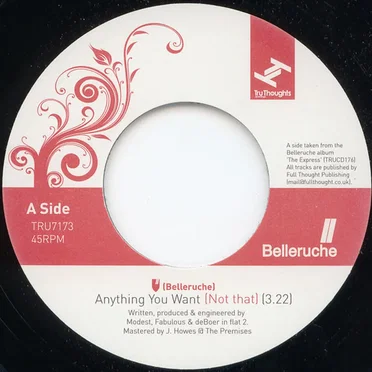 Anything You Want (Not That)