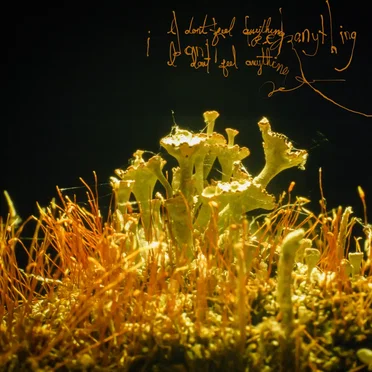 i don't feel anything by Willzyx - album cover