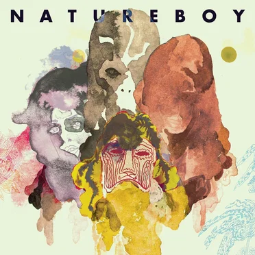 Natureboy by Natureboy Flako - album cover