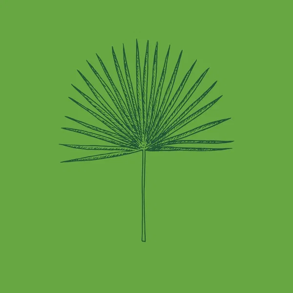 Wind Blown (The Sabal’s Last Word)