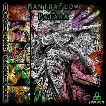 Imaginary Craziness by Mantra Flow - album cover