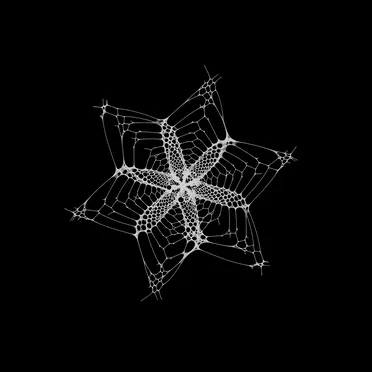 Microflora by The Surrealist - album cover