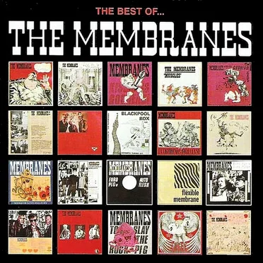 The Best of The Membranes