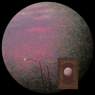 Collection One: Factimations by Estes Regional Library - album cover