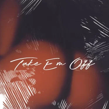 Take Em Off by SHVIM - album cover