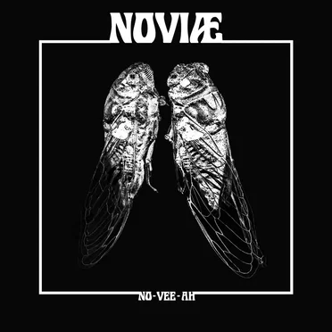 No-Vee-Ah by NOVIÆ - album cover