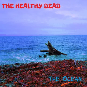 The Ocean by The Healthy Dead - album cover