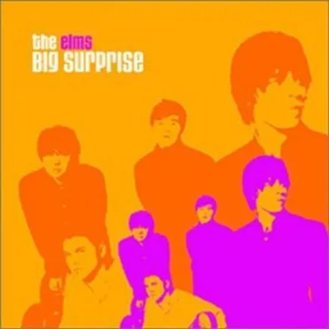 Big Surprise by The Elms - album cover