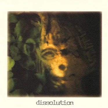 Dissolution