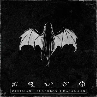Blackbox: Kasamaan